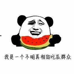 娱乐吃瓜的配音是什么意思,揭秘“娱乐吃瓜”配音背后的趣味与魅力